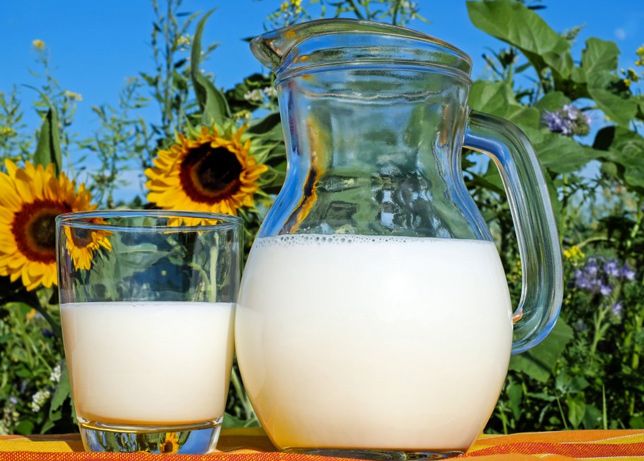 遼寧牛奶批發(fā)廠家：植物奶產(chǎn)品可以代替牛奶嗎？